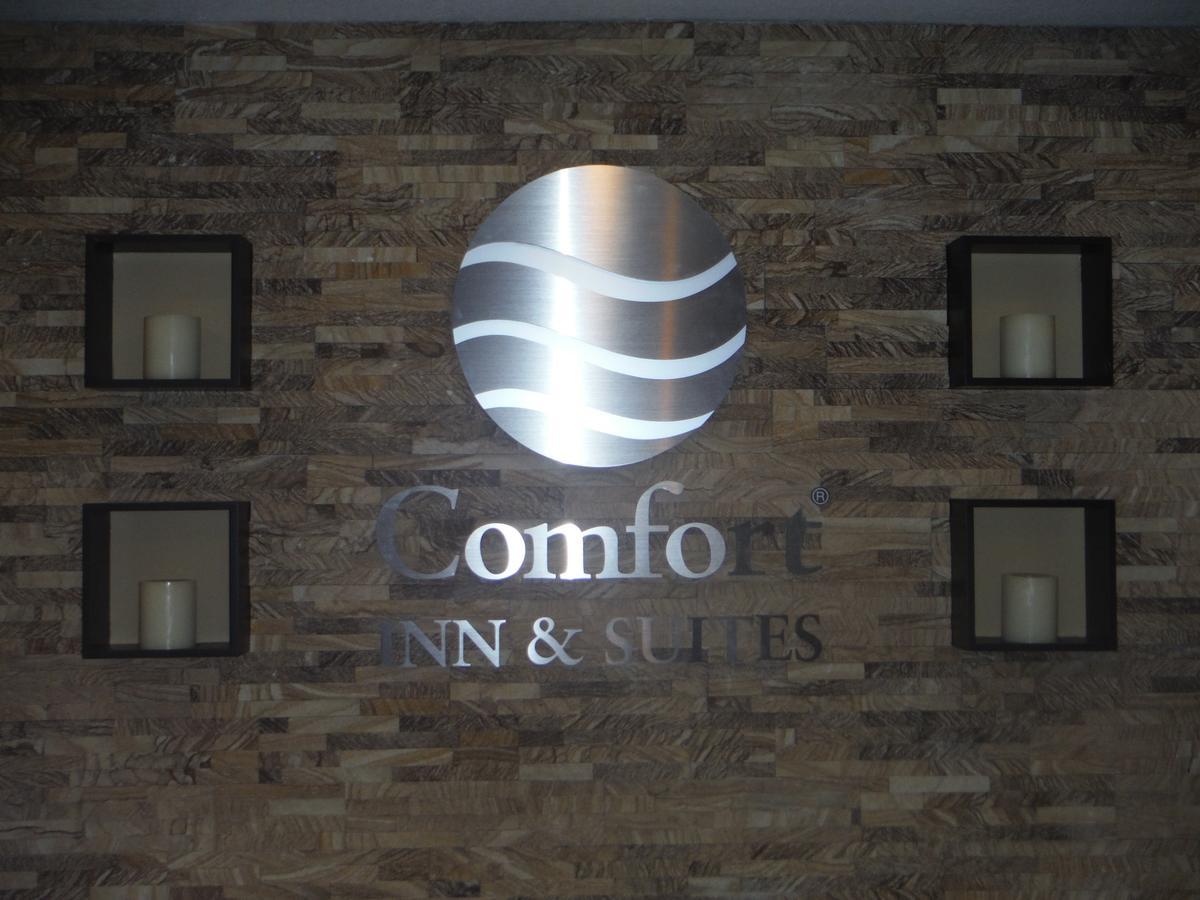 Comfort Inn & Suites - Chisago City Exteriör bild