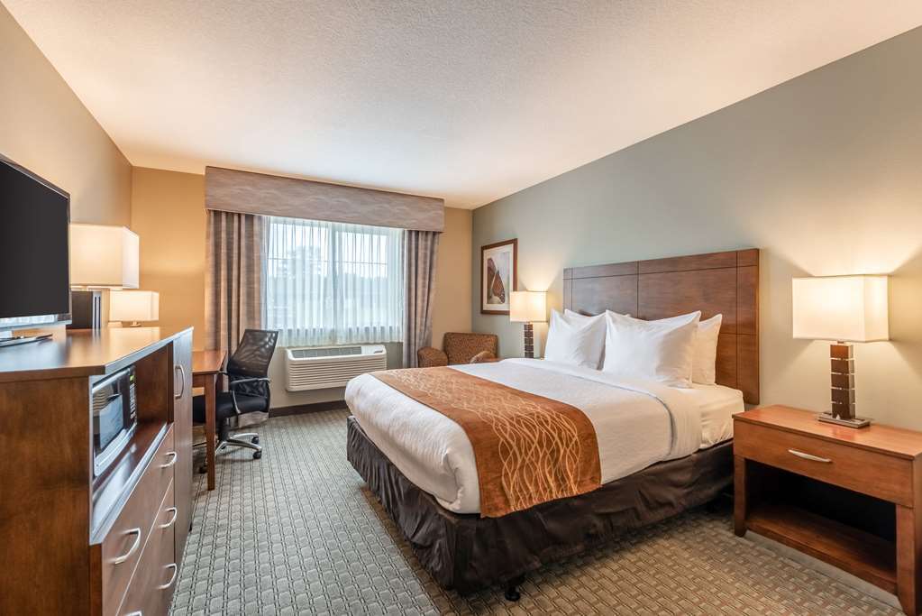 Comfort Inn & Suites - Chisago City Rum bild
