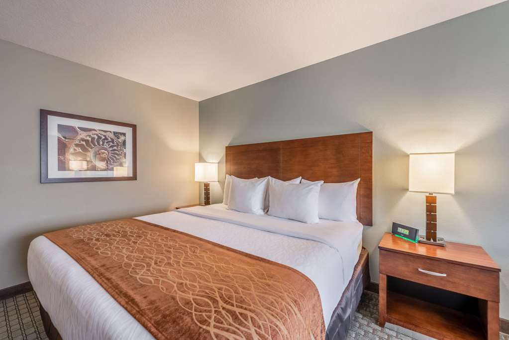 Comfort Inn & Suites - Chisago City Rum bild