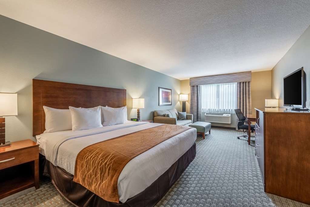 Comfort Inn & Suites - Chisago City Rum bild
