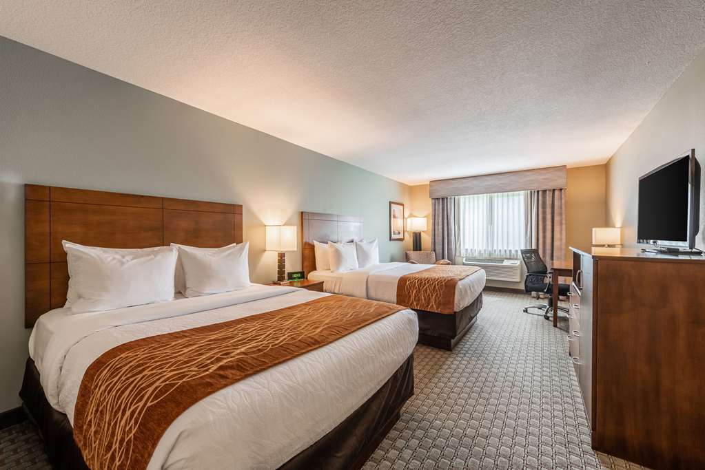 Comfort Inn & Suites - Chisago City Rum bild